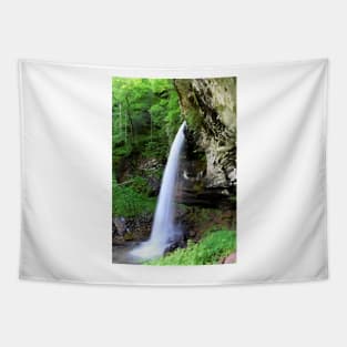 Falls of Hills Creek Tapestry