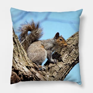 A Watchful Squirrel Sitting In a Tree Pillow