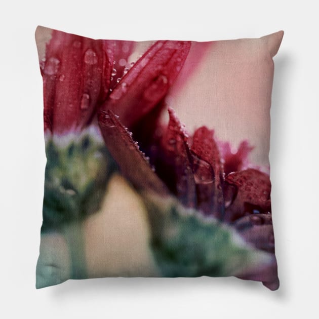 Simple Romance Pillow by micklyn