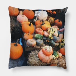 Pumpkins and Gourds Union Square NYC Pillow