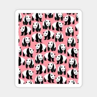 Panda Bears on Pink Background Magnet