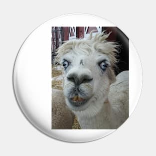 Alpaca Pin