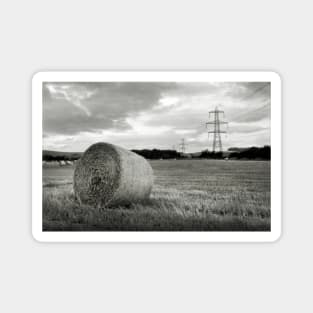 Baled field near Branton, Northumberland, UK Magnet