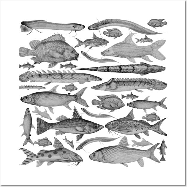 Black and white fish pattern - Black And White Fish - Posters and Art Prints