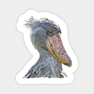 Shoebill Magnet