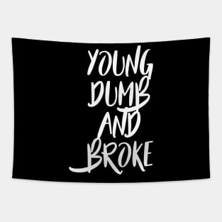 Young, Dumb and Broke Tapestry