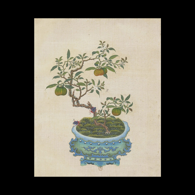 Vintage Chinese Bonsai Botanical Ink And Brush Painting Flowers