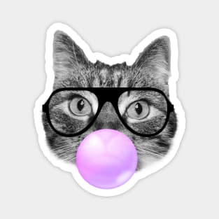 Cute fluffy hipster cat and a pink bubble gum Magnet