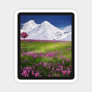 Beautiful mountain flowers Magnet