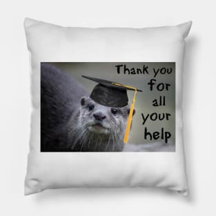 Thank you teacher Pillow