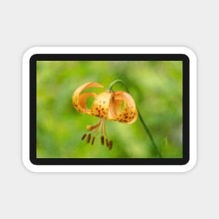 Impressionist Lily Magnet