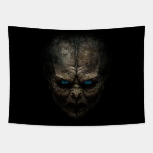 Drac Tapestry