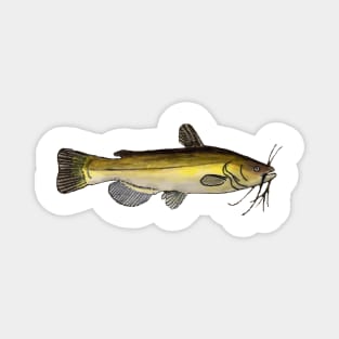 Yellow Bullhead Magnet