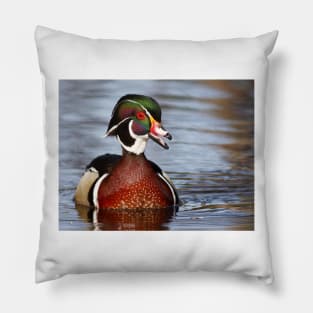 Wood Duck laugh Pillow