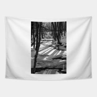 Snowshoeing Gifford Woods Tapestry