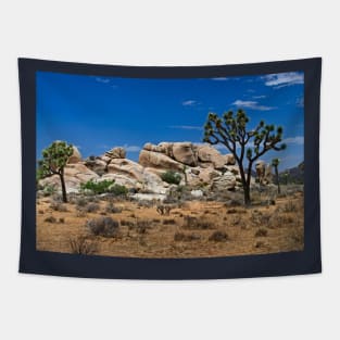 Formations  Joshus Tree Tapestry