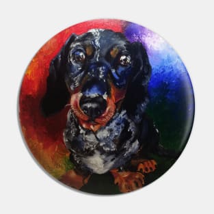 All the colours of a dachshund Pin