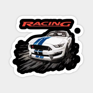 FORD SHELBY USA RACING GT MUSTANG Magnet