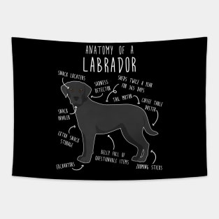 Black Labrador Retriever Dog Anatomy Tapestry