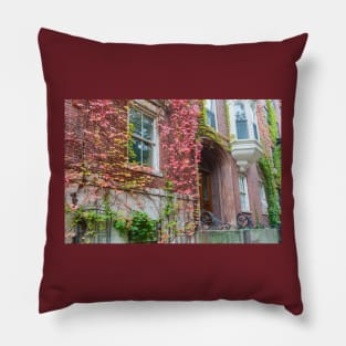 Victorian homes from street in Boston red brick exterior with Boston ivy in autumn colors Pillow