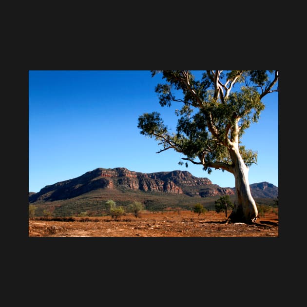 Australian Outback of the Flinders Ranges by jwwallace