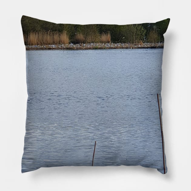 Sea Side Breeze Pillow by Alemway