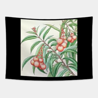 Lychee Tapestry