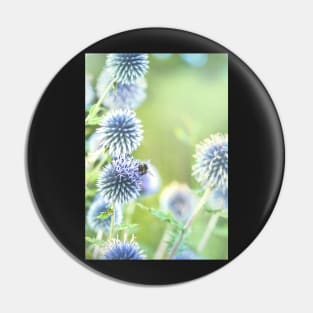 Globe thistles and a bee Pin