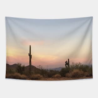 Pastel desert Tapestry