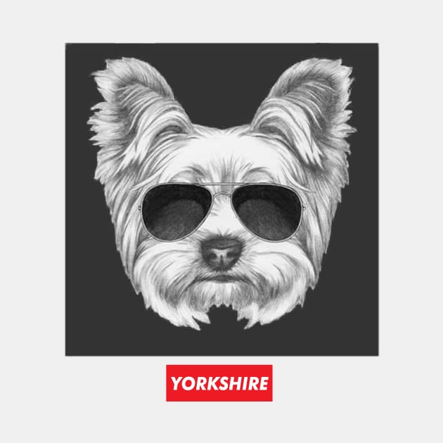 Yorkshire Terrier by robertromanian