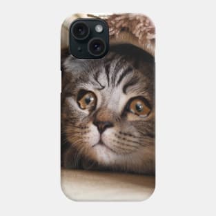 Sad Cat Crying Cat Cute Meme Phone Case