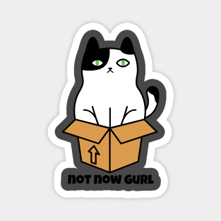 Cat not now Gurl Magnet