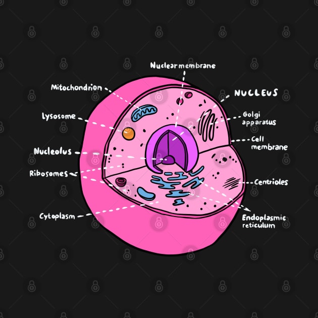 Cell (Biology Poster) by isstgeschichte