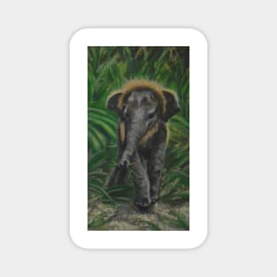 Baby Elephant in the tall grass Magnet