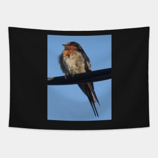 Welcome Swallow Tapestry