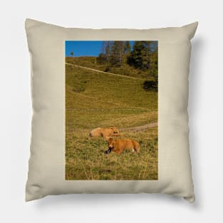 Italian Alpine Cows Pillow