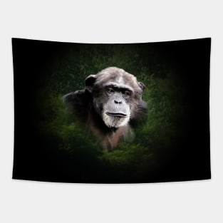 Chimpanzee Tapestry