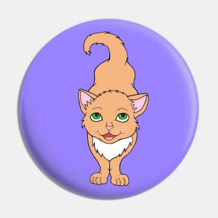 Adorable Buff Orange Ginger Kitten Pin