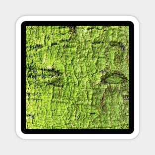 Mossy Green Abstract Magnet