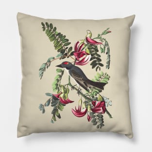 John James Audubons Piping Flycatcher Pillow