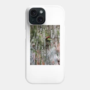 Broad-headed Skink Phone Case