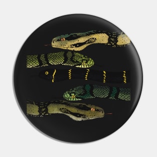 Snakes Pin