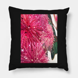 Musk Pink Thread Gum Flowers Design Pillow