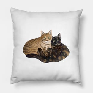 Two Cats Smooth Pillow