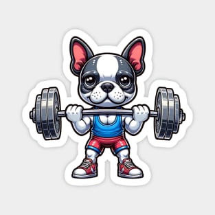 Boston Terrier Weightlifting Magnet