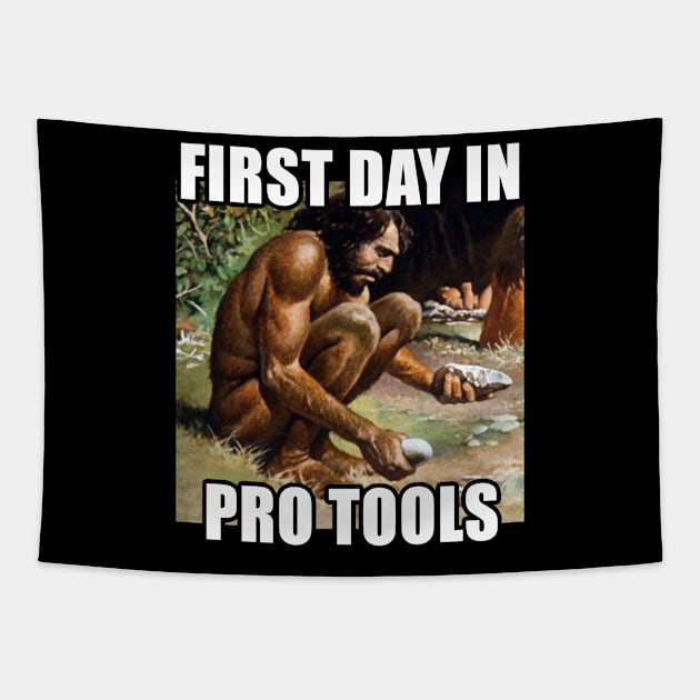 First Day In Pro Tools - Funny Audio Engineer/Music Producer Gift Tapestry by DankFutura