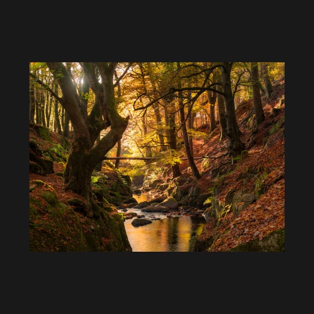 Wicklow in Autumn by GaryMcParland