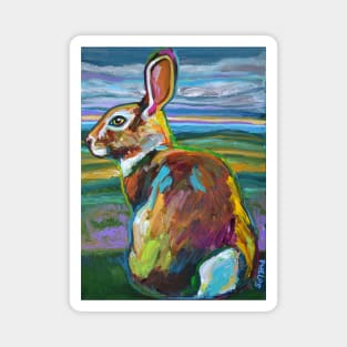 Wild Mountain Rabbit by Robert Phelps Magnet