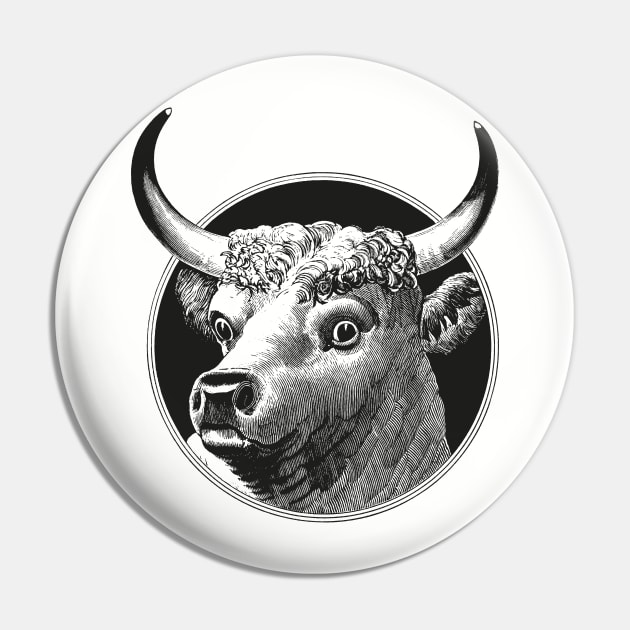 Cow head drawing Pin by Digster