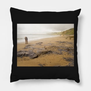 Beach fog Spinoni Pillow